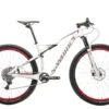 Specialized S-Works Epic 29 World Cup Mountain Bike - 2014, Medium