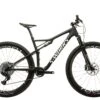 Specialized S-Works Epic AXS Mountain Bike - 2020, Large