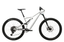 Specialized Stumpjumper Comp Alloy 29 Mountain Bike - 2019, Large