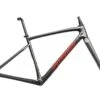 Specialized Diverge Carbon 54cm Frameset - 2021