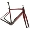 Specialized Diverge Pro Carbon Disc 56cm Frameset - 2021 -Specialized Shop FGR10208 PH3 11