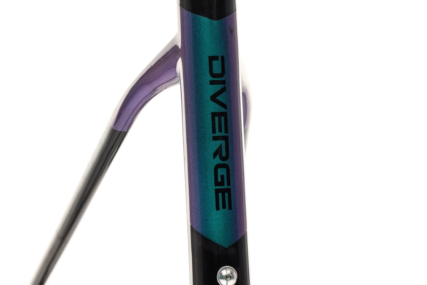 Specialized Diverge Disc 54cm Frameset - 2019 Specialized Diverge Disc 54cm Frameset - 2019 -Specialized Shop FGR10281 PH 4 scaled