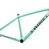 Specialized S-Works Epic Hardtail Medium Frameset - 2019 -Specialized Shop FMT10867 PH2 01