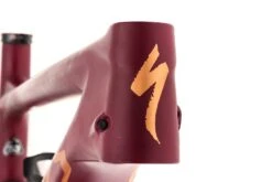 Specialized S-Works Enduro S3 Frame - 2021 -Specialized Shop FMT11521 PH3 5