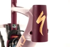 Specialized S-Works Enduro S5 Frameset - 2021 6 Specialized S-Works Enduro S5 Frameset - 2021 -Specialized Shop FMT11566 PH3 5