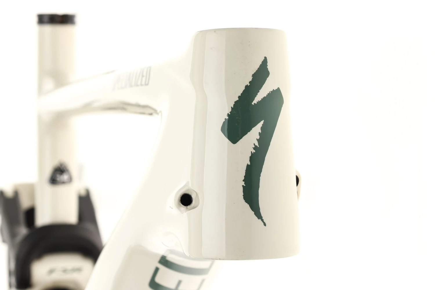 Specialized Enduro S4 Frame - 2020 Specialized Enduro S4 Frame - 2020 -Specialized Shop FMT11585 PH3 5 scaled