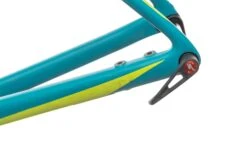 Specialized Ruby Expert 54cm Womens Frameset - 2017 -Specialized Shop FRD10468 BJ 17