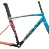 Specialized Allez Sprint Red Hook Crit LTD 56cm Frameset - 2018 -Specialized Shop FRD10519 BJ 01