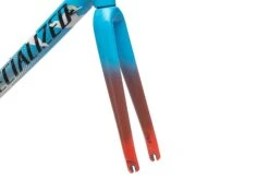 Specialized Allez Sprint Red Hook Crit LTD 56cm Frameset - 2018 5 Specialized Allez Sprint Red Hook Crit LTD 56cm Frameset - 2018 -Specialized Shop FRD10519 BJ 04