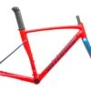 Specialized Allez Sprint Disc DSW 54cm Frameset - 2019
