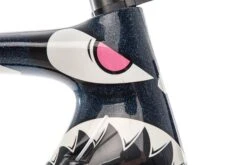 Specialized S-Works Tarmac Nibali 54cm Frameset - 2015 -Specialized Shop FRD10911 MJ 10