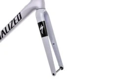 Specialized Roubaix Disc 52cm Frameset - 2020 -Specialized Shop FRD11635 PH2 07