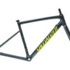 Specialized Tarmac SL6 Disc Sport 52cm Men's Frameset - 2019