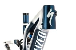 Specialized Stumpjumper Pro 29 Medium Frame - 2019 -Specialized Shop fmt11360 PH 4