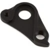 Specialized Road Thru Axle Derailleur Hanger (2015+) (Crux, Diverge, Roubaix, Ruby, Venge) -Specialized Shop s152600003
