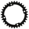 Specialized 2016+ Levo Chainring (Black) (Steel) (1 X 9/10 Speed) (104mm BCD) (Single) (32T) -Specialized Shop s161400009